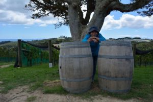 Active Senior's Dr. Ujjal Ray and his wife enjoying picturisque New Zealand with Thelongwhitecloud