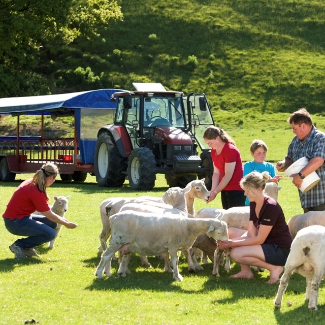 Agrodome Sheep Show & Farm, Rotorua