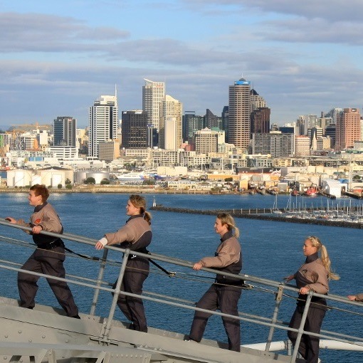 Harbour Bridge Climb / Bungy - Embrace the challenge of New Zealand's only bridge climb and see Auckland's iconic harbour from a wonderful angle.