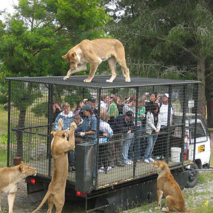 Orana WildLife Park, Christchurch - Experience the ultimate animal adventure at Orana Wildlife Park, New Zealand's only open range zoo.