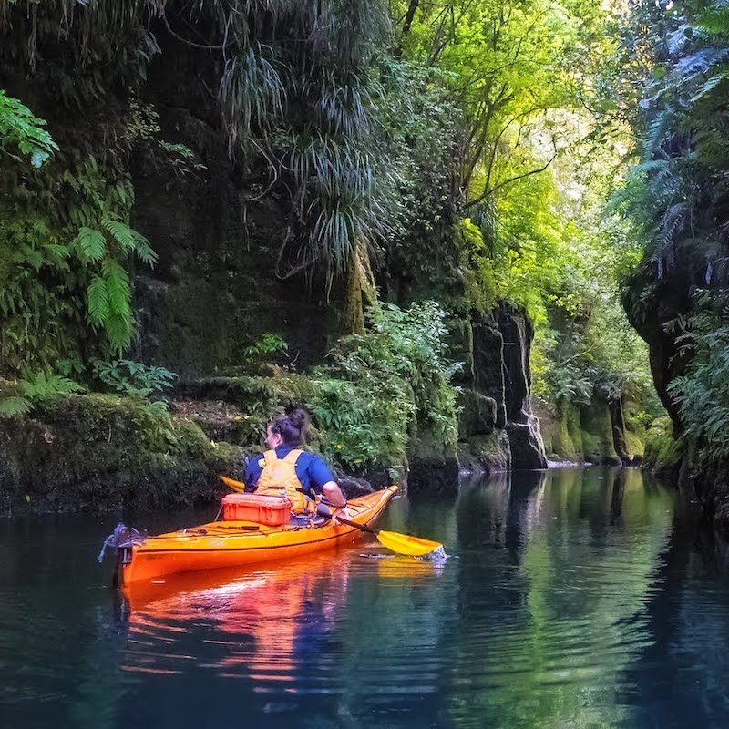 Waimarino Adventure Park, Tauranga - At dusk paddle to the lake to watch the sun set over the hills. Gently wade into the night and discover the magic of the enchanting glow worm canyon.