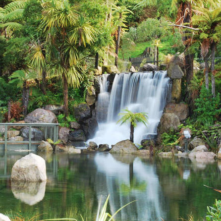 Rainbow Springs, Rotorua - Set amongst the native trees and beautiful forests of Rotorua, discover native New Zealand wildlife in one magical place.