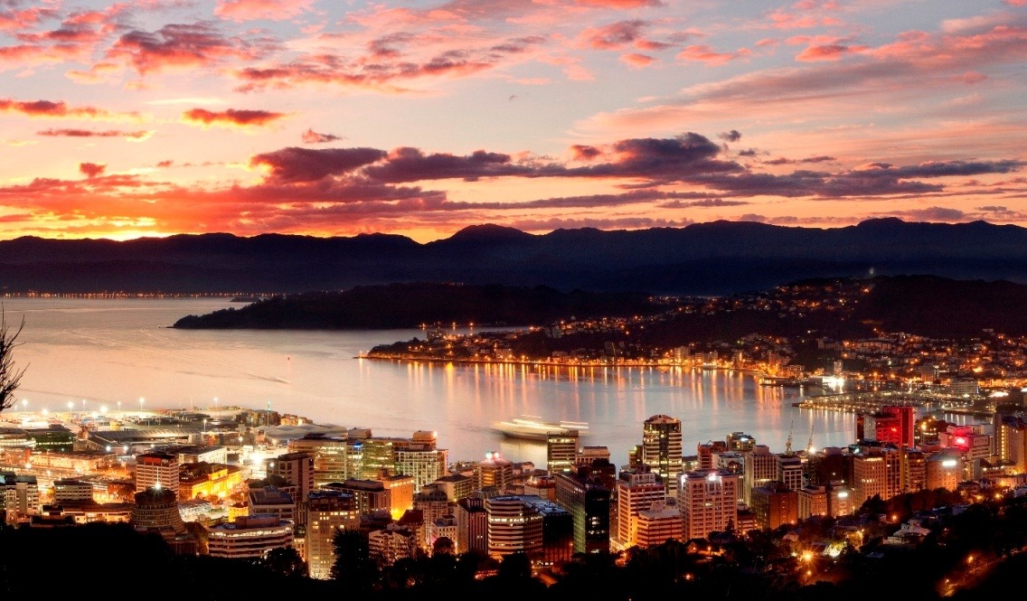 things to do in wellington