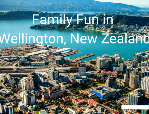 Family Fun in Wellington