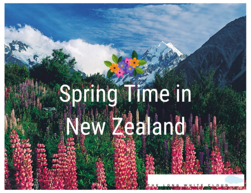 Spring in New Zealand