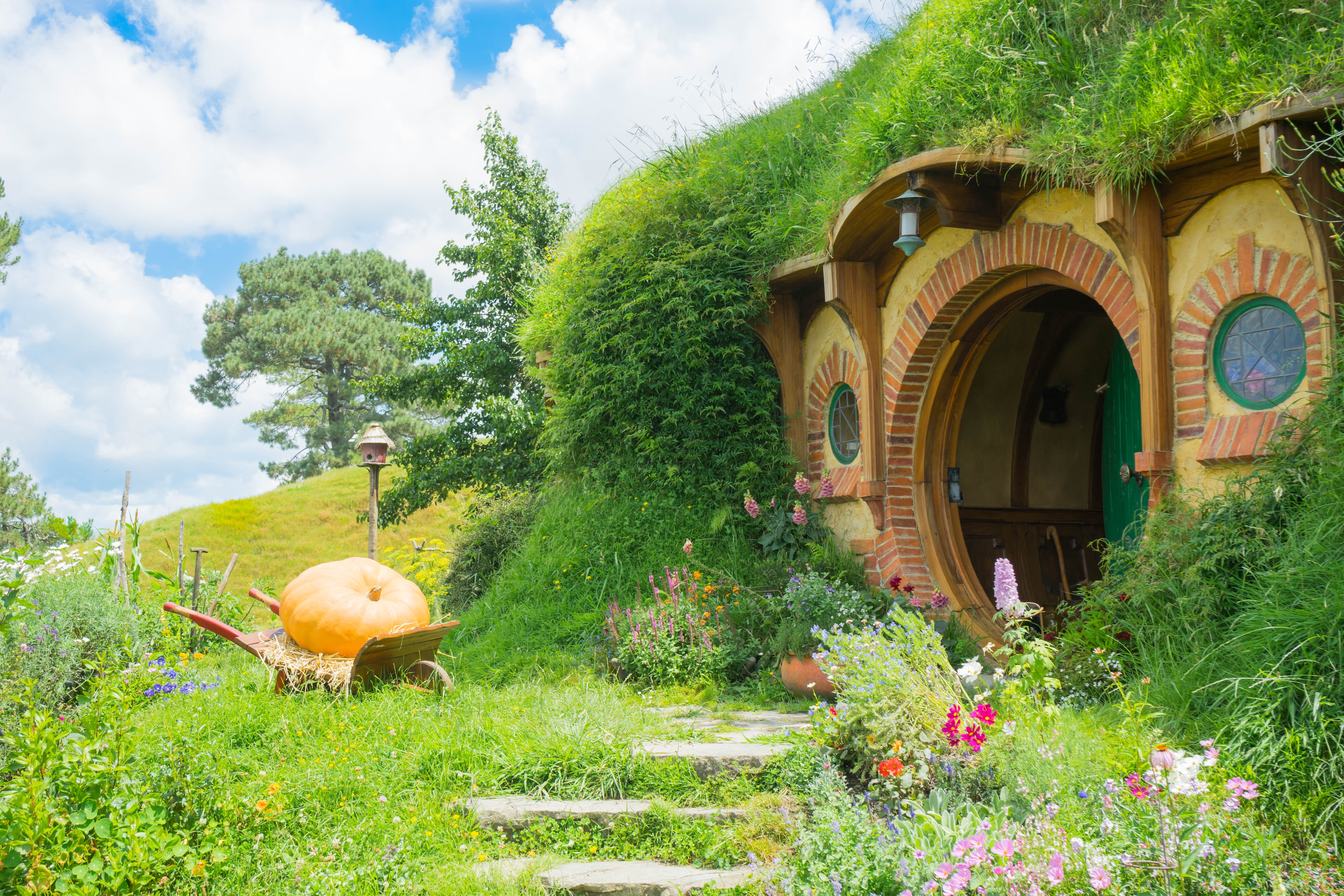 visit hobbiton new zealand