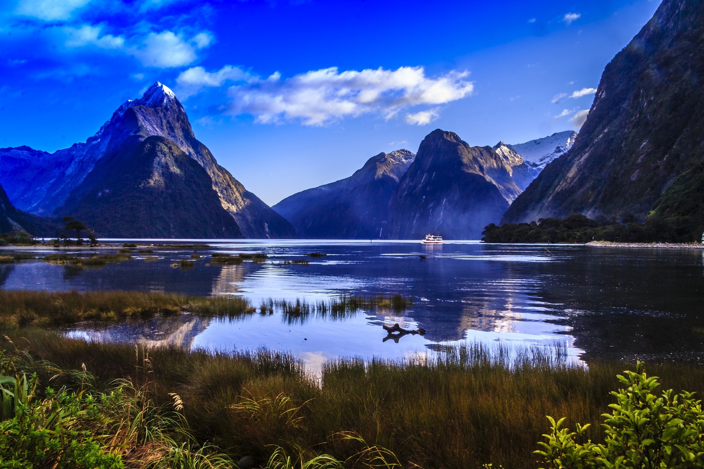 best things to do in new zealand