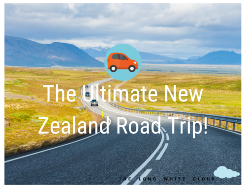 The New Zealand Road Trip!